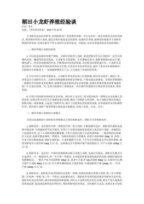 稻田小龙虾养殖经验谈