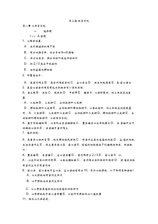 人体解剖学试题-脉管系统