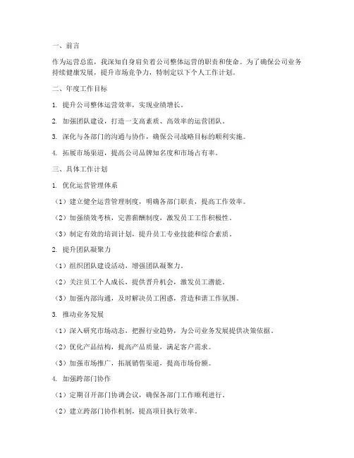 运营总监个人工作计划