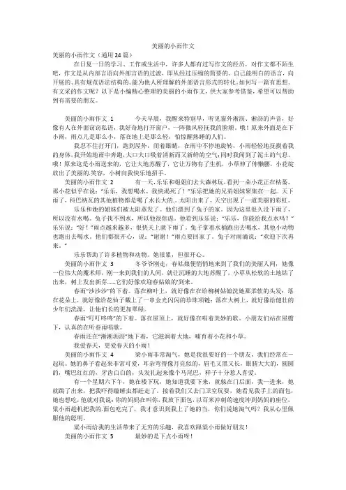 美丽的小雨作文