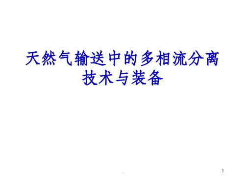 天然气过滤分离器-课件ppt课件