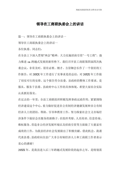 领导在工商联执委会上的讲话