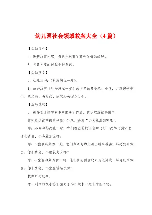 幼儿园社会领域教案大全(4篇)