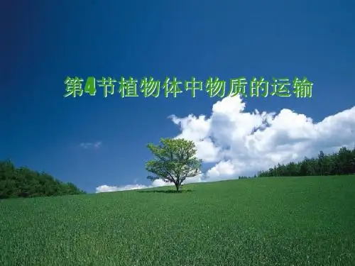 植物体中物质的运输1
