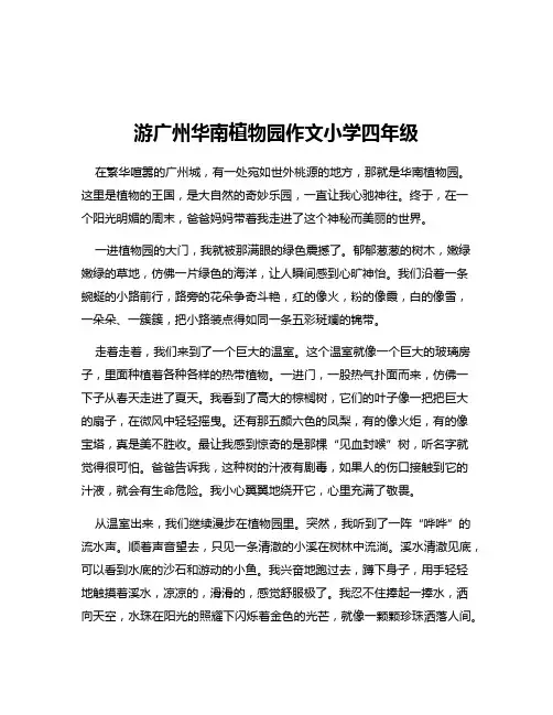 游广州华南植物园作文小学四年级