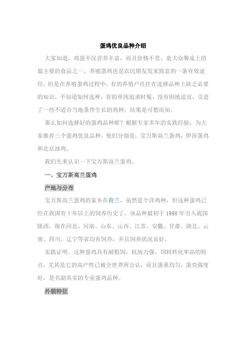 蛋鸡优良品种介绍