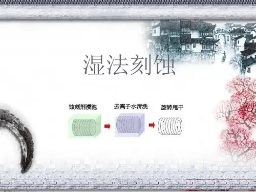 光刻湿法刻蚀研究PPT课件