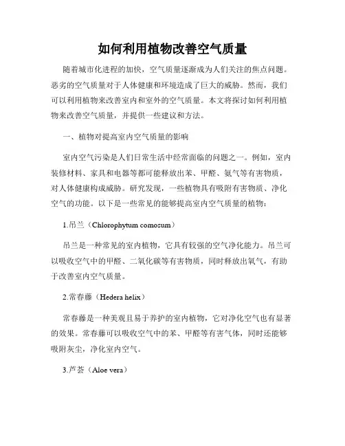 如何利用植物改善空气质量
