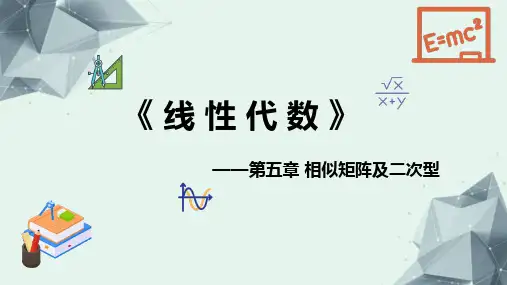 《线性代数》第五章相似矩阵及二次型精选习题及解答