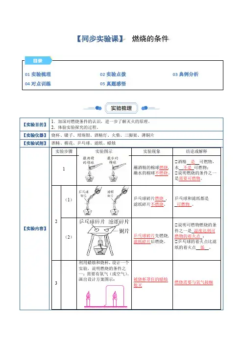 实验11 燃烧的条件(解析版)