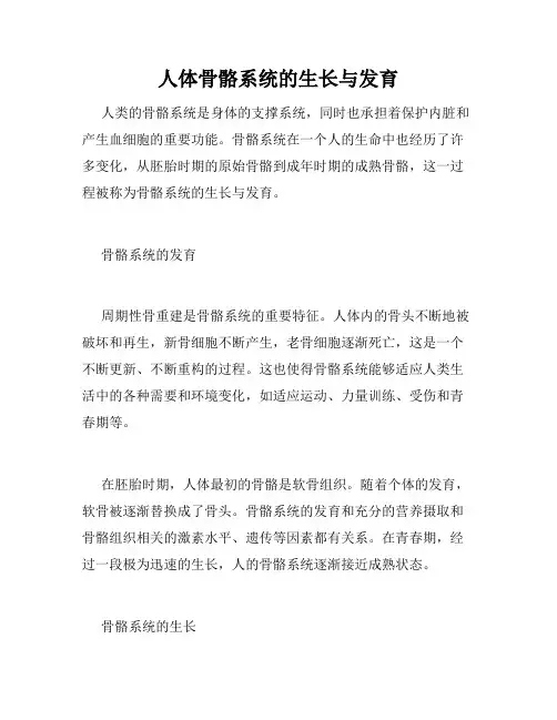 人体骨骼系统的生长与发育