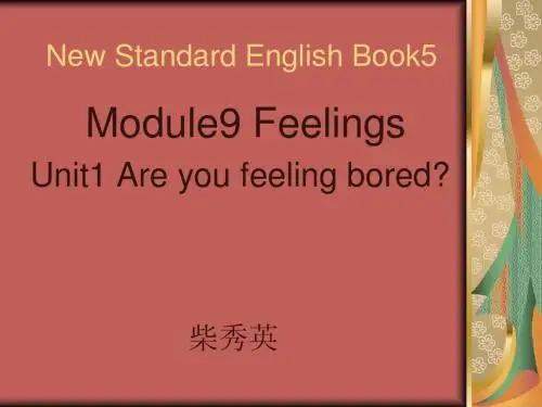 Are you feeling bored 教学课件
