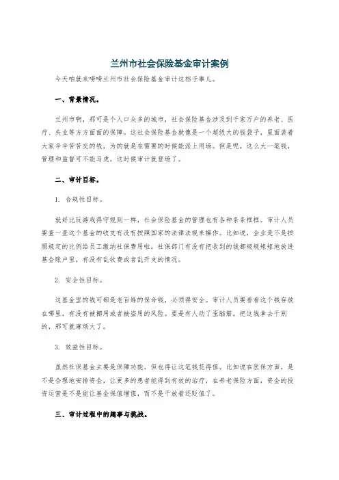 兰州市社会保险基金审计案例