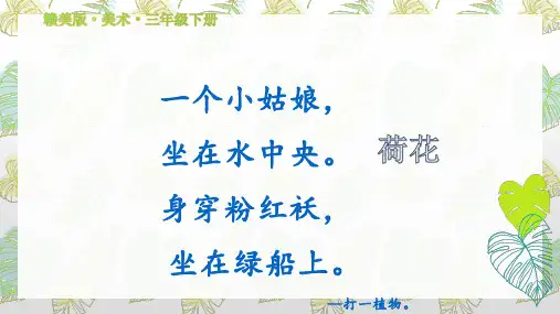 《荷花美》赣美版（江西版）小学三年级下册美术（第六册）教学课件 (22)