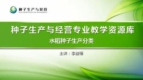 17-水稻种子生产分类
