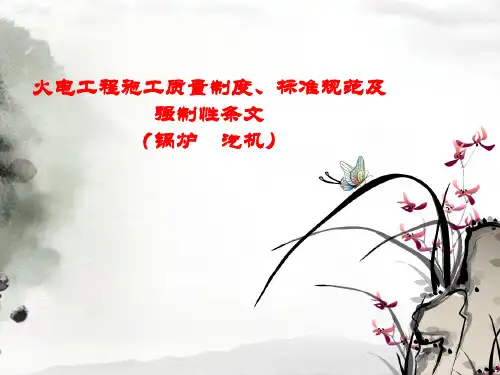 07-制度、规范及强条解读及火电安装质量通病防治精选全文完整版