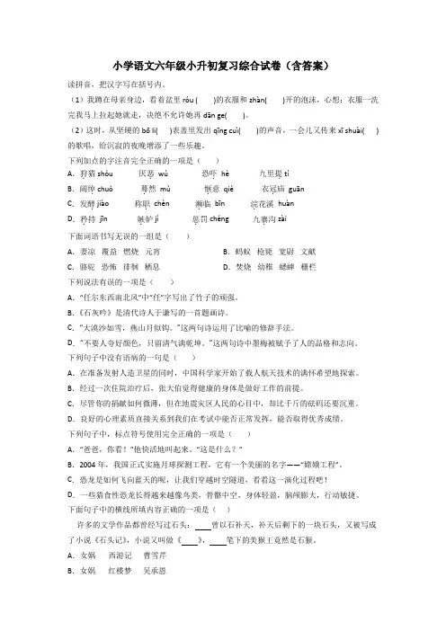 小学语文六年级小升初复习综合试卷(含答案)