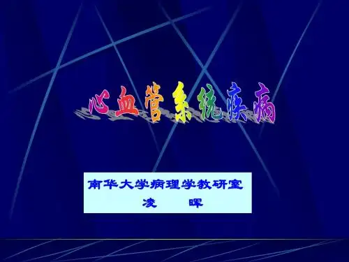心血管系统疾病