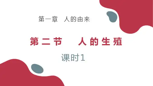 学年人教版生物七年级下册 4.人的生殖  课件 
