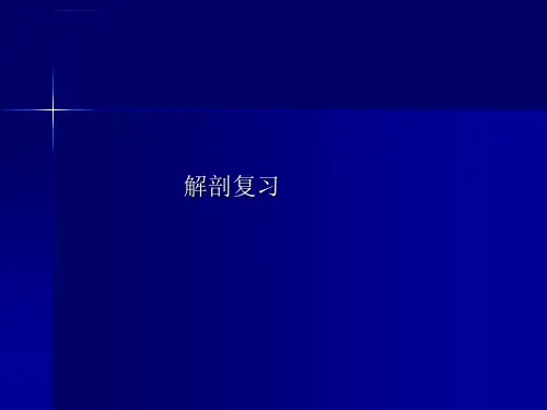 桡骨远端骨折讲座ppt课件