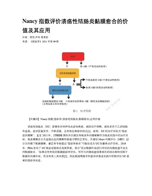Nancy指数评价溃疡性结肠炎黏膜愈合的价值及其应用
