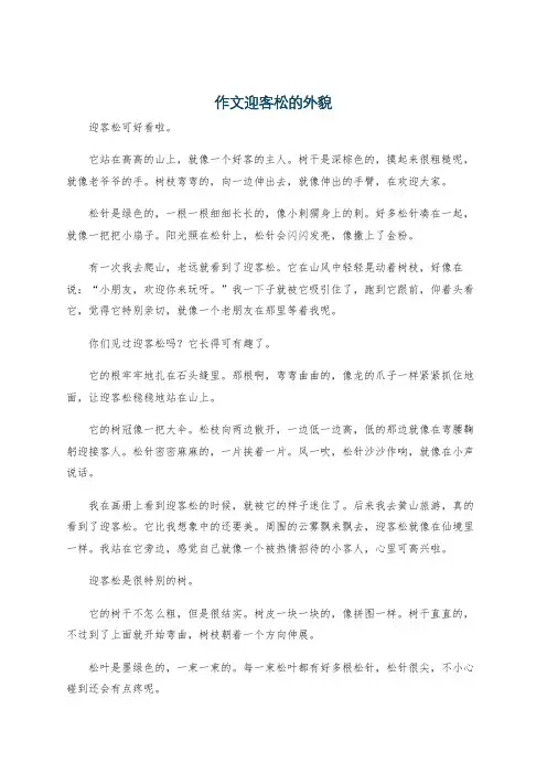 作文迎客松的外貌