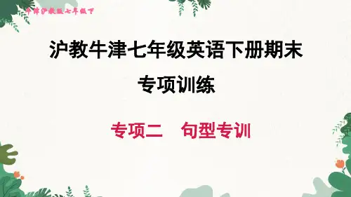 沪教牛津七年级英语下册 期末专项二 句型专训