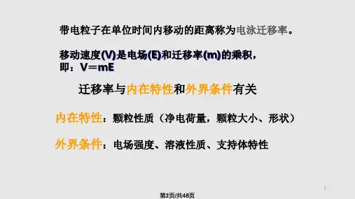 电泳分离PPT课件