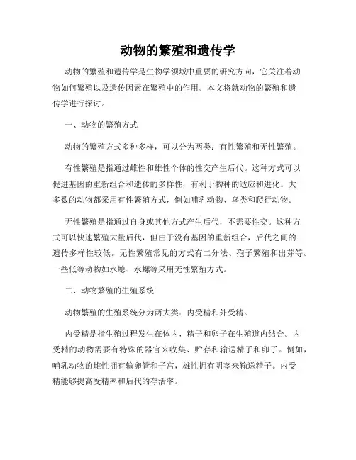 动物的繁殖和遗传学