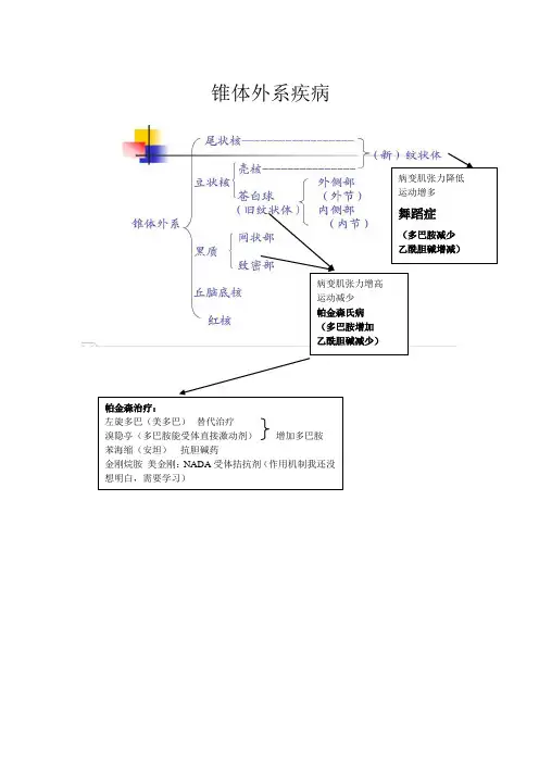 锥  体  外  系疾病及内囊基底节区概念