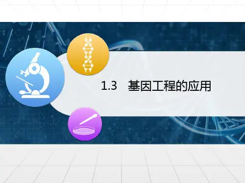 新人教版生物选修三1.3基因工程的应用(共31张PPT)