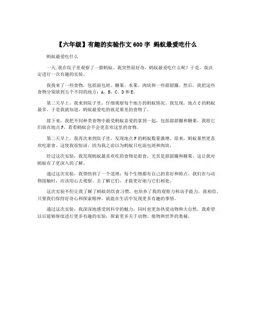 【六年级】有趣的实验作文600字 蚂蚁最爱吃什么