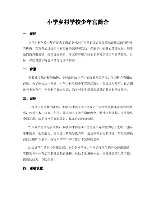 小学乡村学校少年宫简介