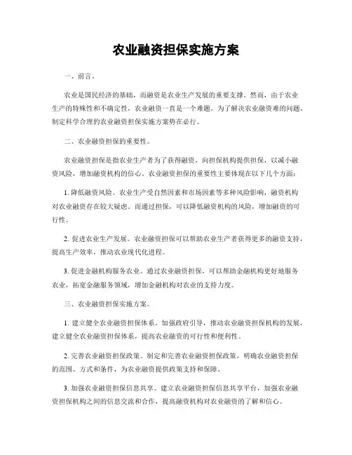 农业融资担保实施方案