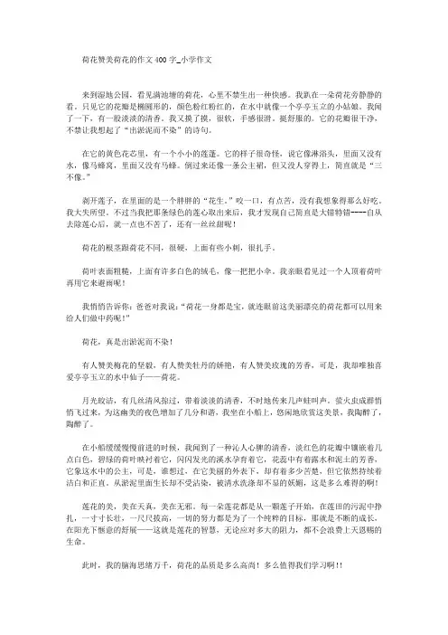精选荷花赞美荷花的作文400字_小学作文