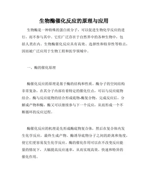 生物酶催化反应的原理与应用