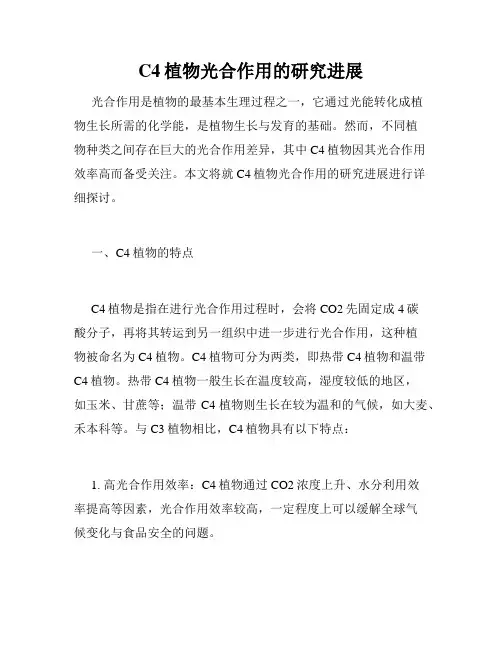 C4植物光合作用的研究进展