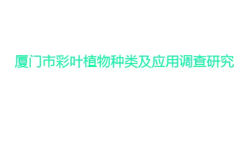 彩叶植物种类及应用调查研究【全】