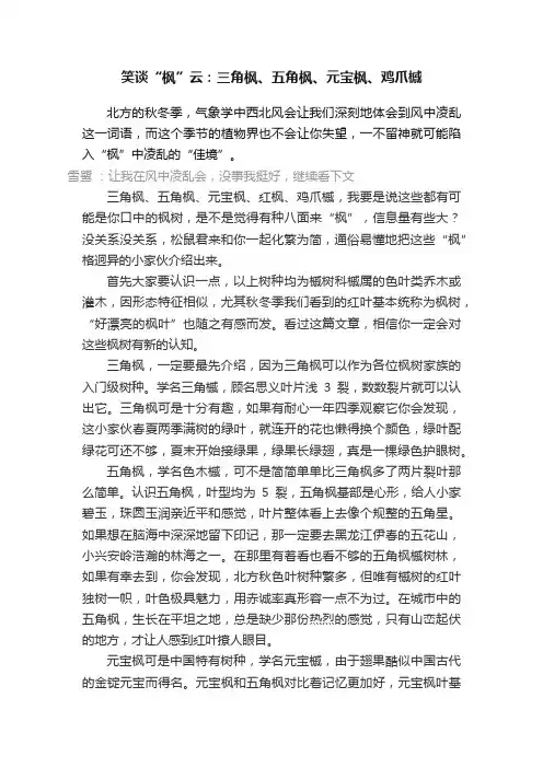 笑谈“枫”云：三角枫、五角枫、元宝枫、鸡爪槭