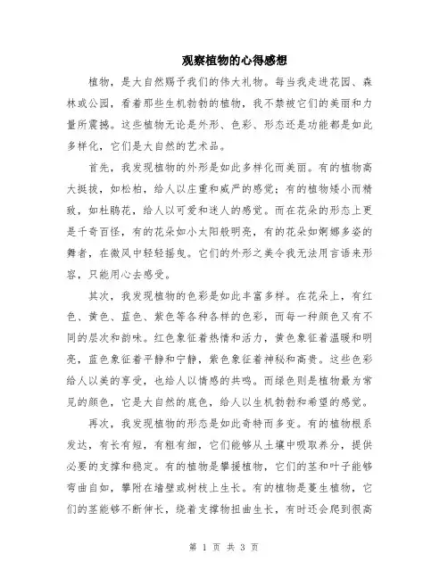 观察植物的心得感想