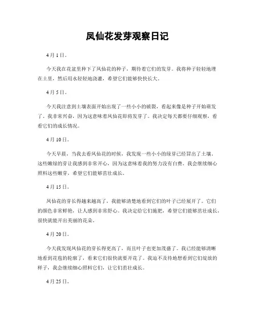 凤仙花发芽观察日记