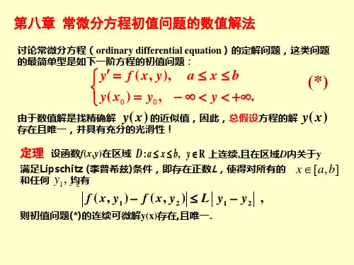  Euler格式和RungeKutta格式.ppt