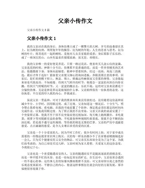 父亲小传作文