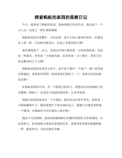 小学三年级作文探索蚂蚁的家园的观察日记