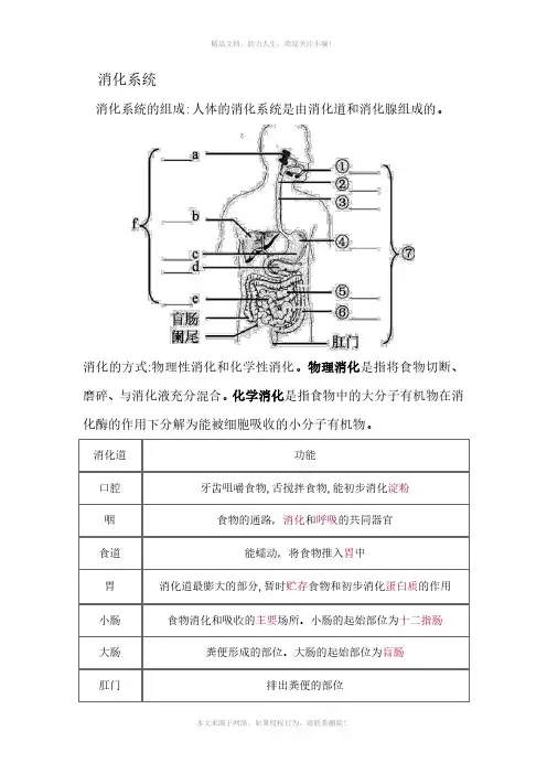 初中生物中考一轮复习：消化系统总结与练习