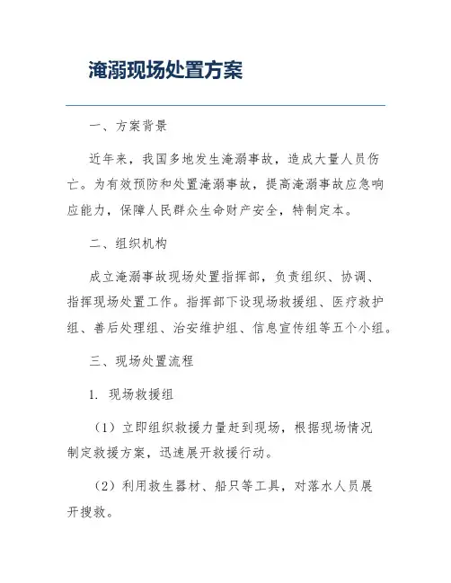 淹溺现场处置方案