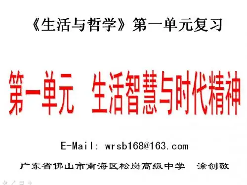 【政治课件】生活智慧和时代精神复习PPT