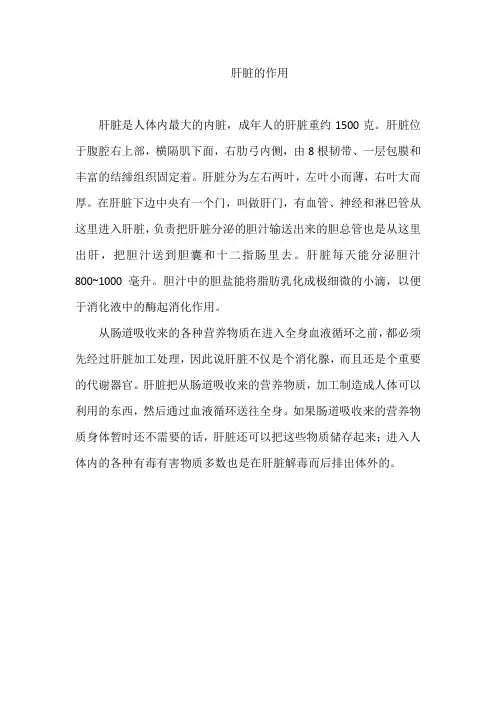 肝脏的作用