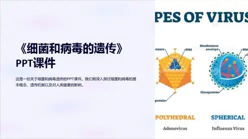 《细菌和病毒的遗传》课件