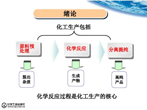 化学反应过程与设备(杨西平)模块一